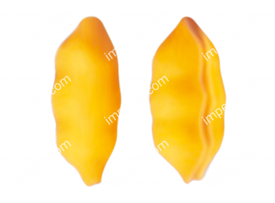 Фильера for shell producing  №935/02