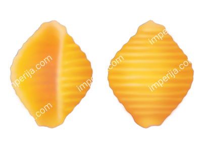 Фильера for shell producing  №734/08