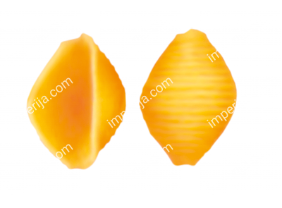 Фильера for shell producing  №734/05